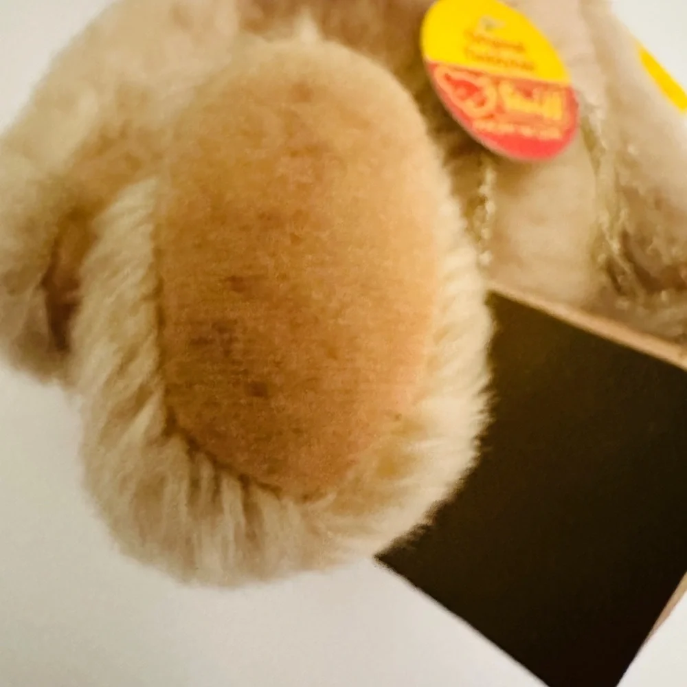 Steiff Original JointedTeddy Bear 0201/26 Austria  Signed By Otto Hans Steiff
